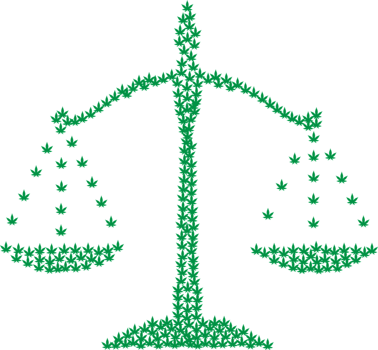 Legalizing Marijuana Cultivation - Legalizing Weed Clip Art - Png Download (776x720), Png Download
