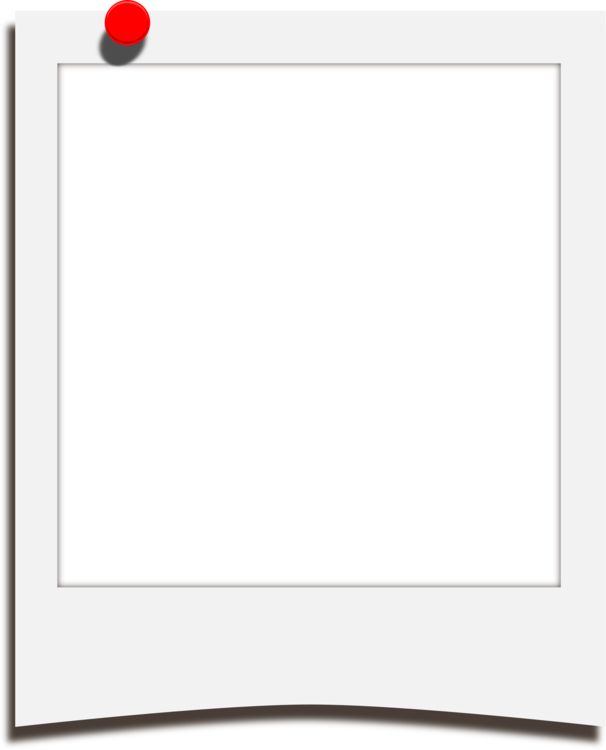 Paper Picture Frames Line Angle - Circle Clipart (606x750), Png Download