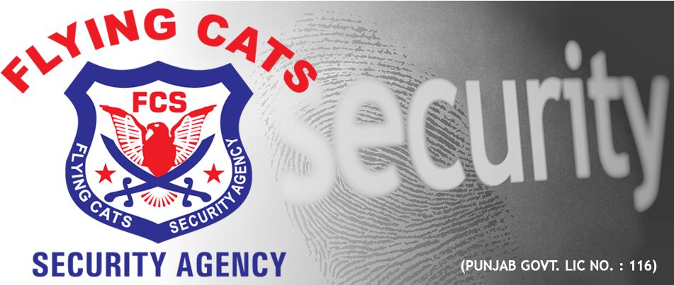 Flying Cats Security Agency - Poster Clipart (962x402), Png Download