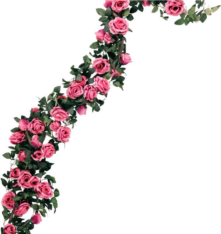 752618169 600x600q80 - Pink Flowers Vines Png Clipart (600x600), Png Download