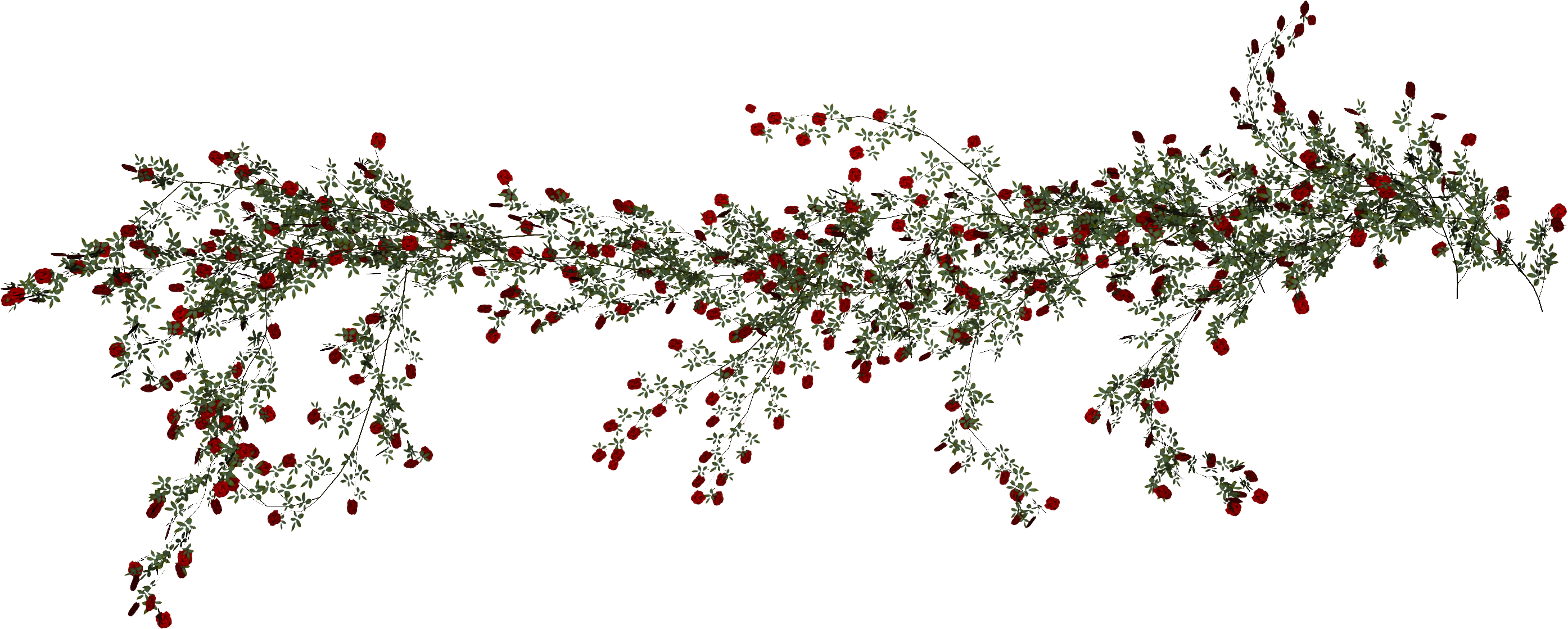 Rose Vine Beach Png Download Free Clipart - Floral Design Transparent Png (2789x1119), Png Download