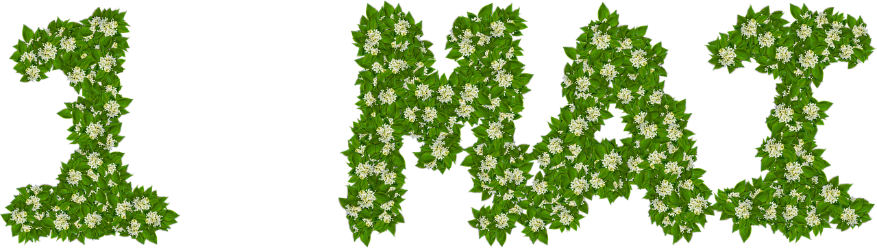 Thrush,lilly Of The - 1 Mai Png Clipart (1280x362), Png Download