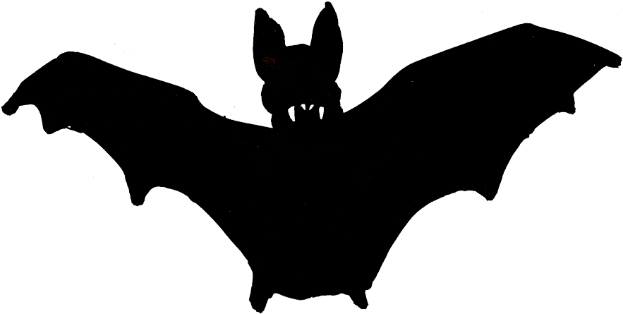 Welcome Clipart Bat - Little Brown Myotis - Png Download (1200x494), Png Download