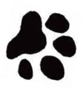 Clip Transparent Library Free Dog Print Image Download - Yorkshire Terrier Paw Print - Png Download (744x744), Png Download