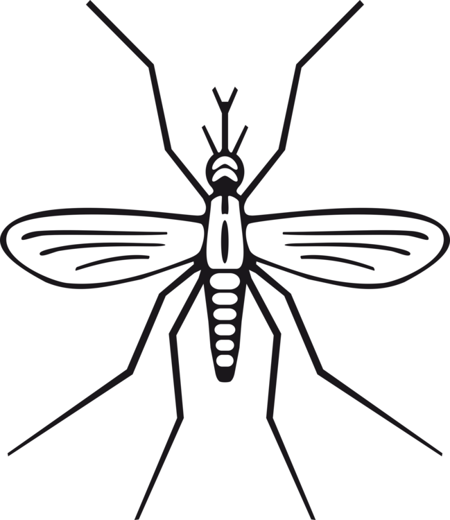 Mosquito Clipart Swarm Mosquito - Simple Mosquito Drawing - Png Download (516x596), Png Download