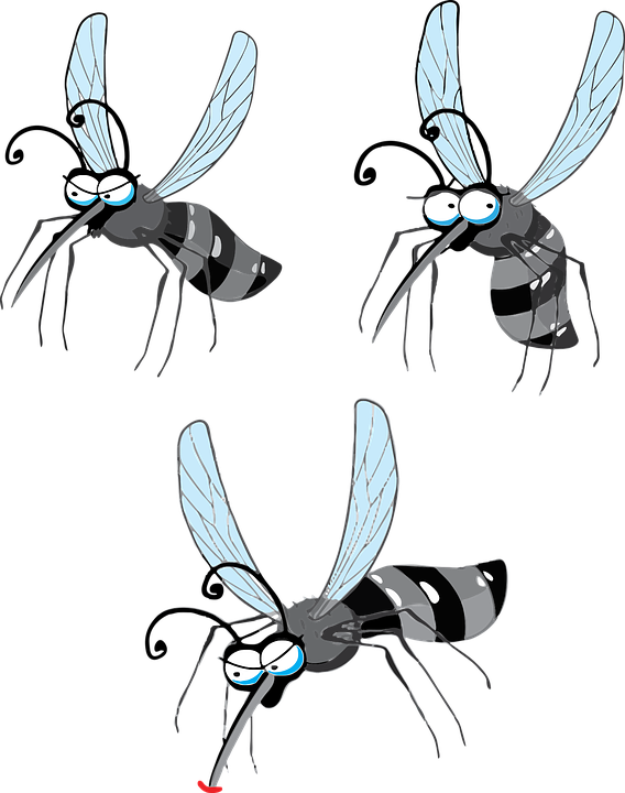 Mosquito Desenho Png - Cartoon Flying Mosquito Png Clipart (568x720), Png Download