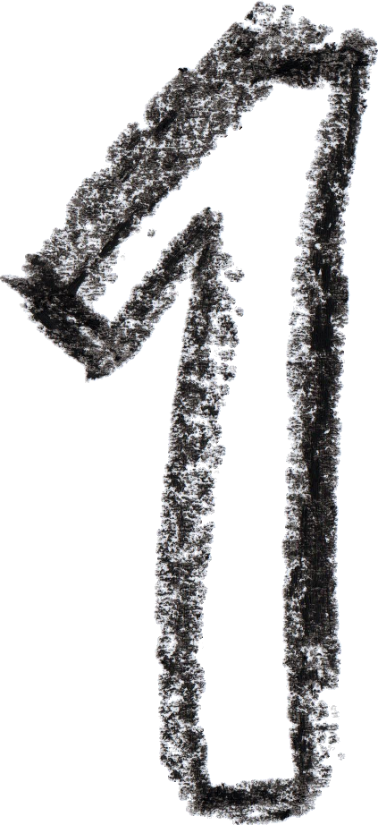 Free Download - White Pine Clipart (423x922), Png Download