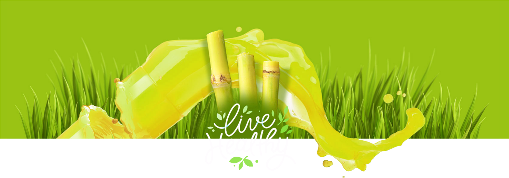 Sugar Cane Png Clipart (1640x650), Png Download