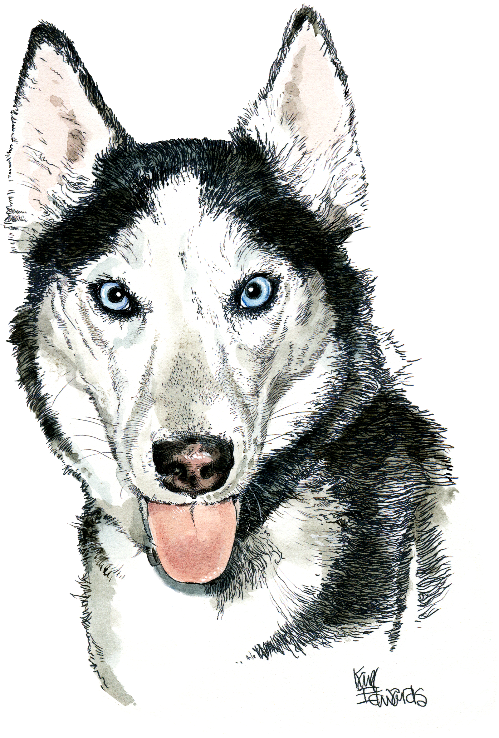 My Experience With Karl Edwards And His Brilliant Eye - Husky Dog Face Png Clipart (1844x2600), Png Download