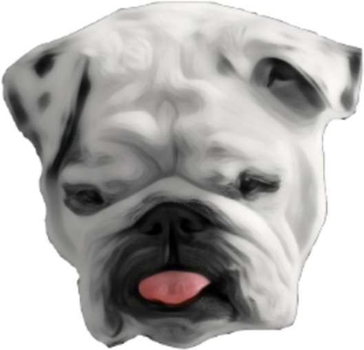 Cani Con La Faccia Moscia Clipart (1024x1024), Png Download