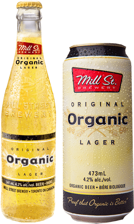 Organic Lager Bottle Can - Guinness Clipart (600x800), Png Download