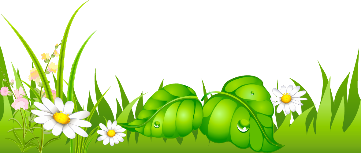 Grass Border Design Png Clipart (1180x500), Png Download