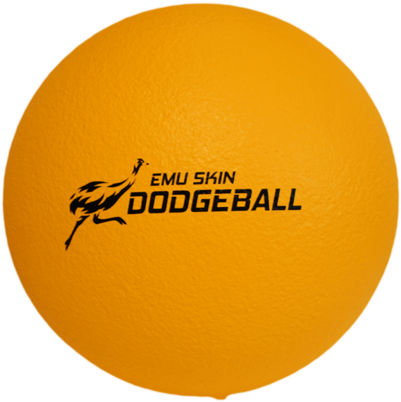 Pu Emu Skin Foam Dodgeball - House Of Orange Logo Clipart (1000x668), Png Download
