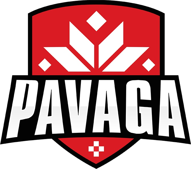Pavaga Gaming Liquipedia Dota 2 Wiki - Graphic Design Clipart (600x600), Png Download