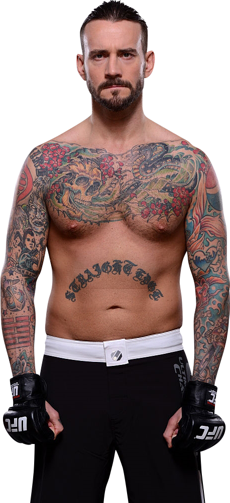Wwe Champion - Wwe Cm Punk Png 2018 Clipart (458x998), Png Download