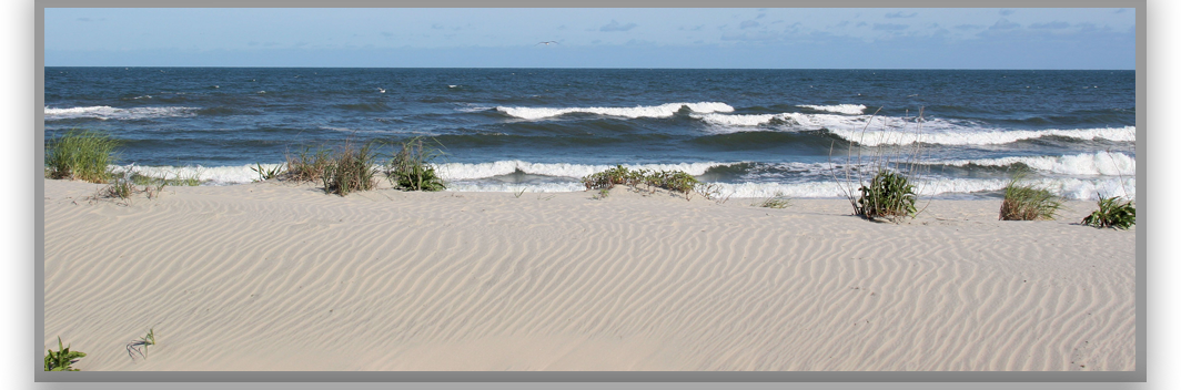 Dune Project Information - Singing Sand Clipart (1064x352), Png Download