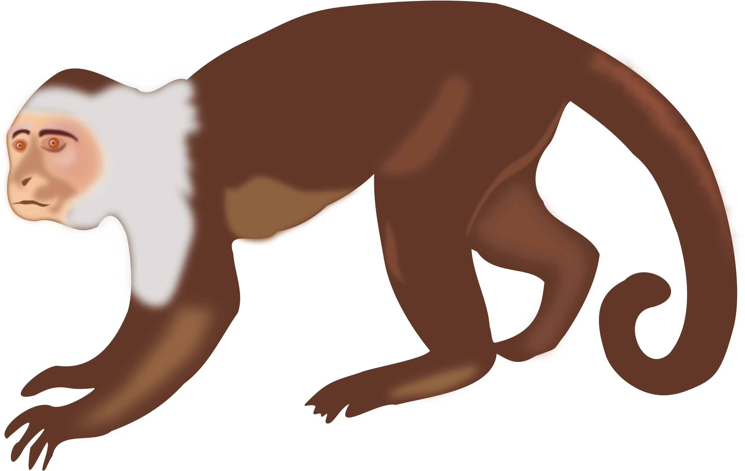 Top Monkey Clipart Free Spot - Capuchin Monkey Clip Art - Png Download (2400x1551), Png Download