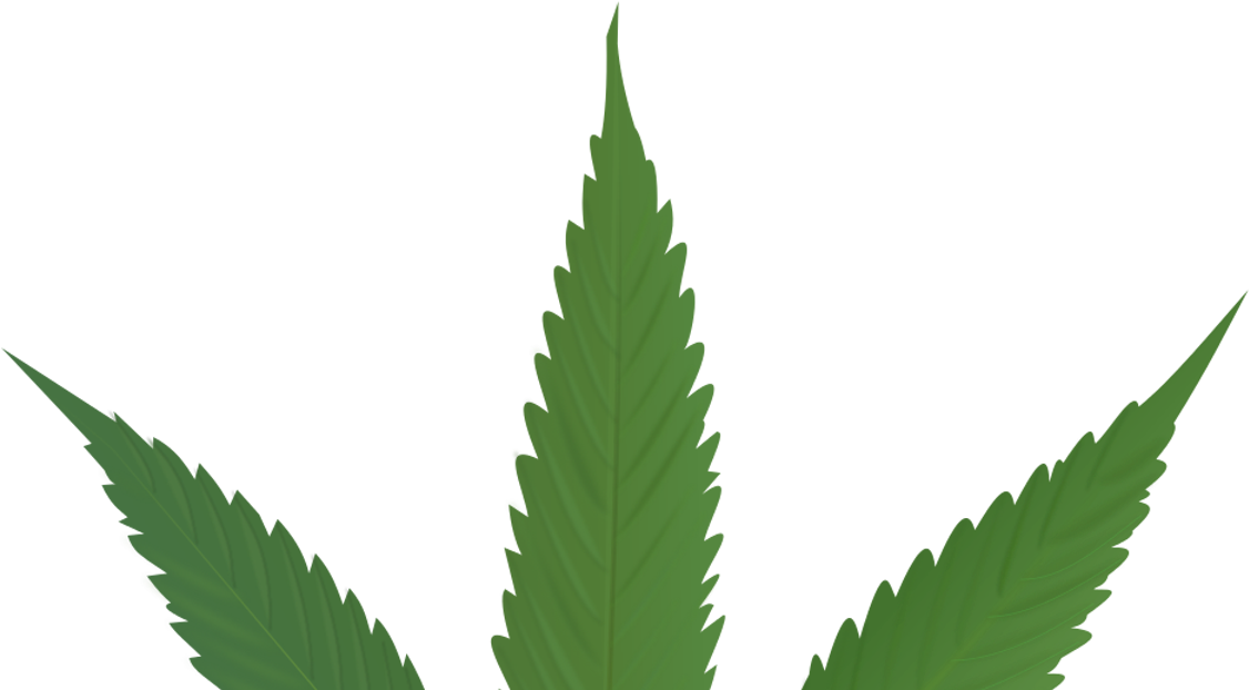 Cannabis Leaf Clipart (1200x630), Png Download