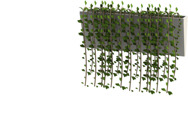 Large - Wall Hanging Plants Png Clipart (960x462), Png Download