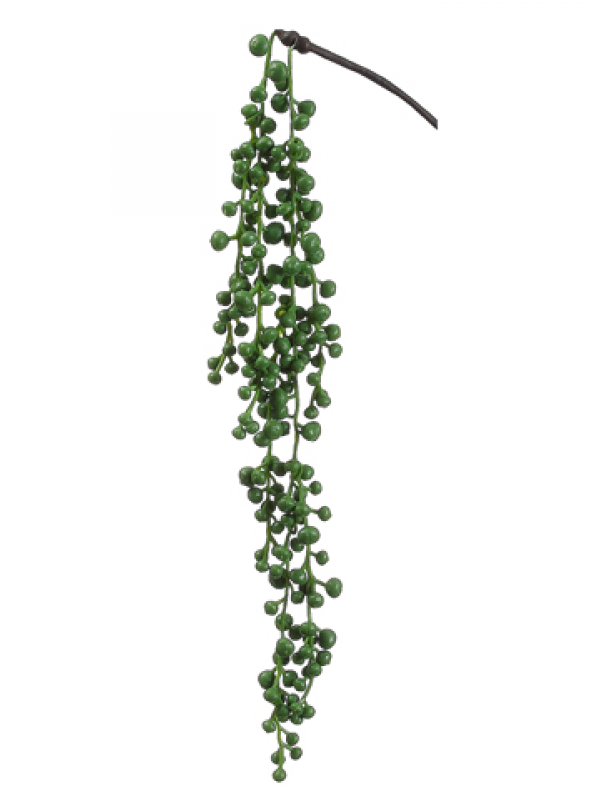 20" String Of Pearls Hanging Pick Green - Artificial String Of Pearls Plant Clipart (800x800), Png Download