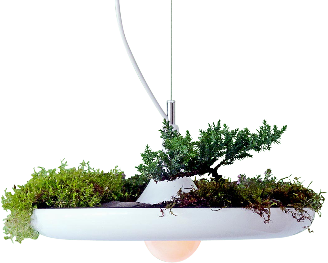 Home / Home Living / Lighting / Hanging Lights / Babylon - Babylon Light Price Clipart (1500x1057), Png Download