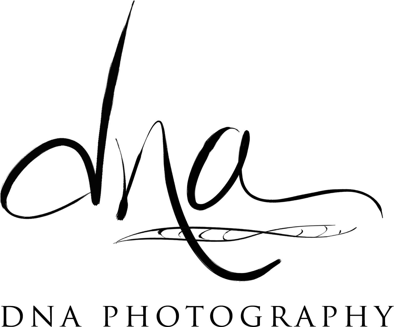 Dna Strand White Transparent - Dna Photography Logo Clipart (1638x1638), Png Download