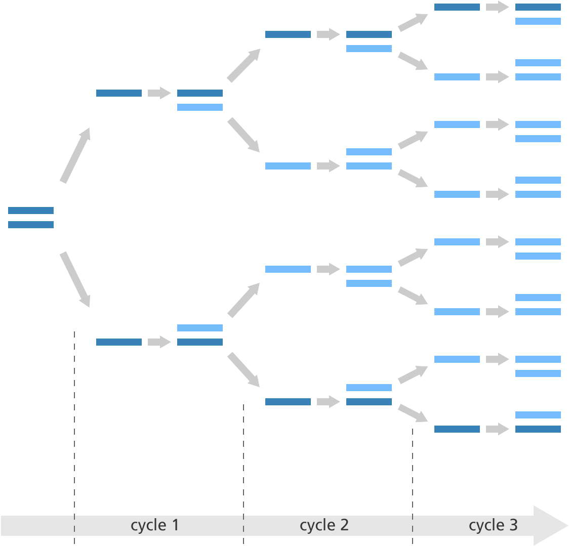 Illustration Showing How The Polymerase Chain Reaction - Polymerase Chain Reaction Clipart (1200x1162), Png Download