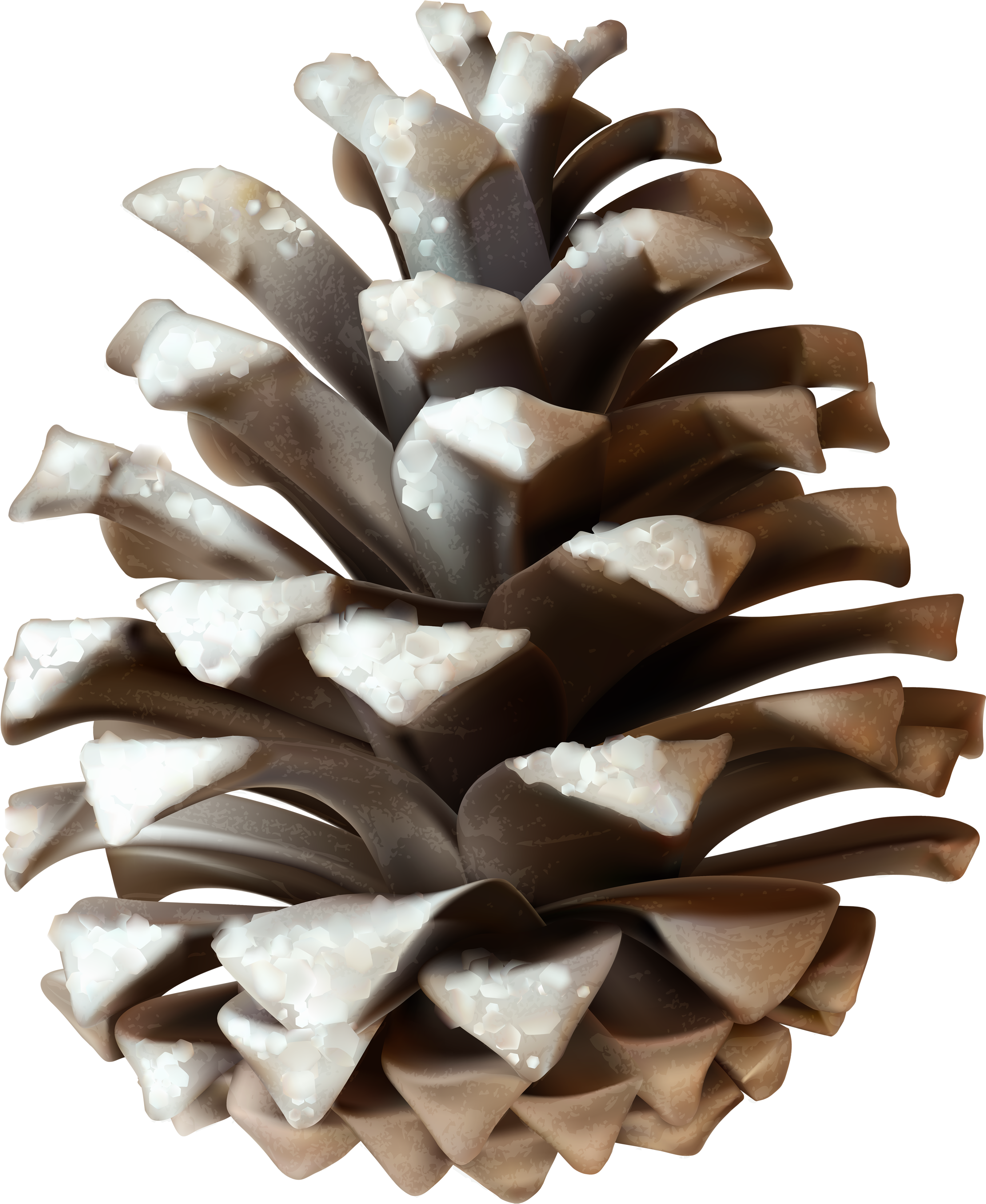 Winter Pinecone Png Clip Art Image - Snow Pine Cone Png Transparent Png (3406x4078), Png Download