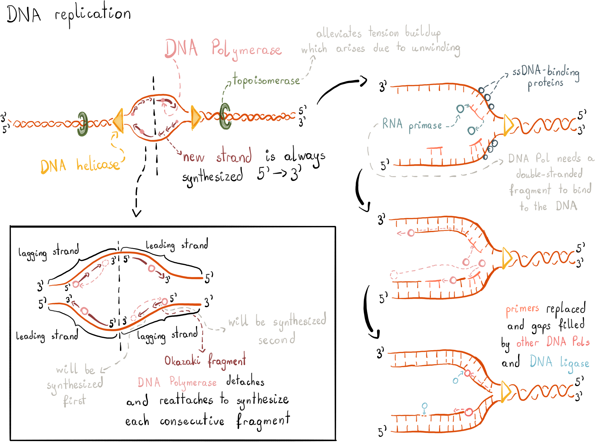 Of Each Strand Was Continuous, There Would Be No Such Clipart (2224x1668), Png Download