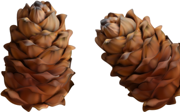 Pine Cone Png Clipart (640x480), Png Download
