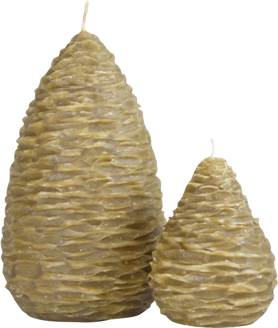 Pine Cone Pears , Png Download Clipart (895x1056), Png Download