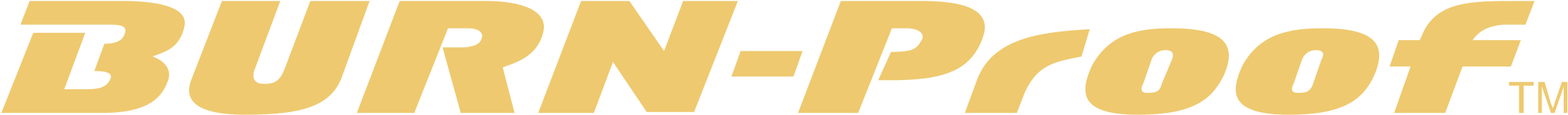 Burn Proof 01 Logo Png Transparent Clipart (2400x2400), Png Download