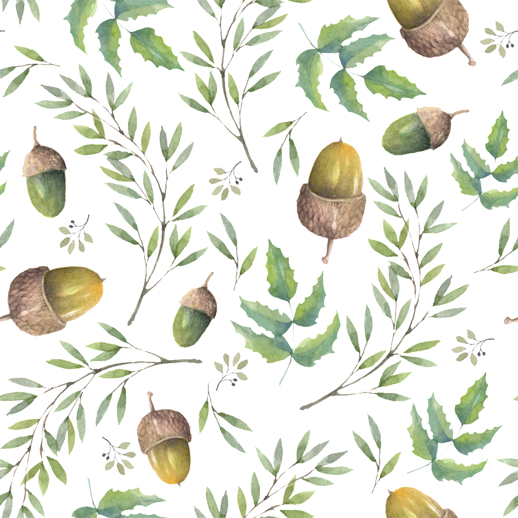 Pine Cone Cartoon Transparent - Portable Network Graphics Clipart (1024x1024), Png Download