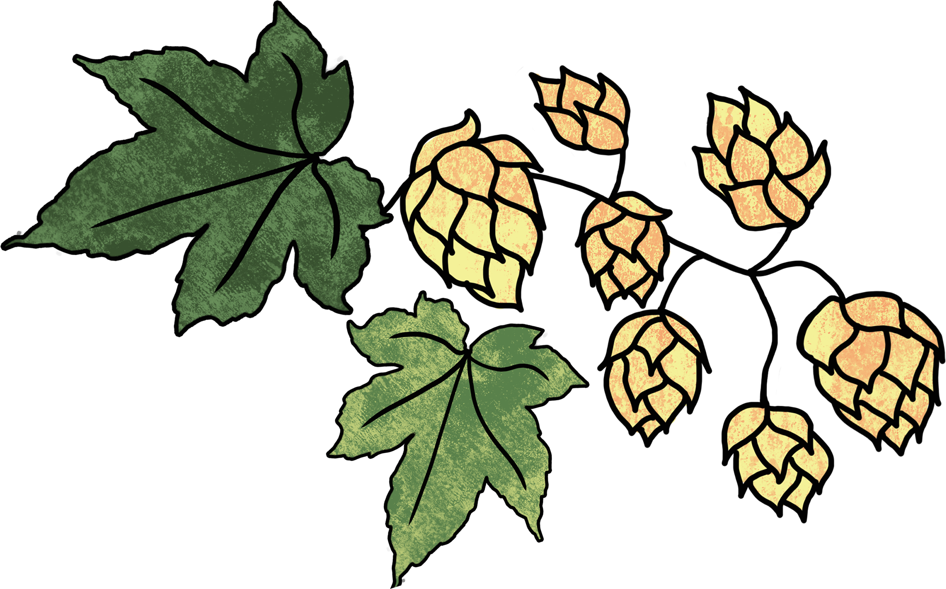 Bere Brewery A Taste Of The Tamar Clipart (1939x1208), Png Download