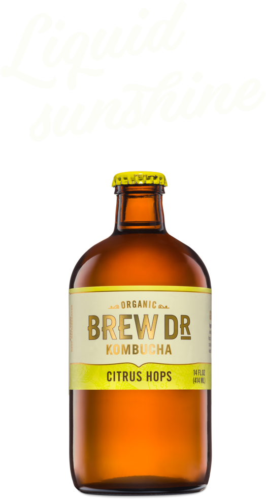 Citrus Hops - Beer Bottle Clipart (524x982), Png Download