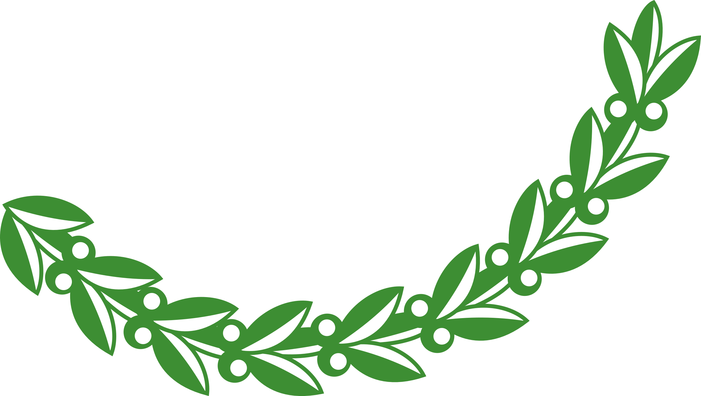 Olive Branch Png - Green Olive Branch Png Clipart (2400x1357), Png Download
