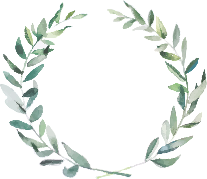 Olive Branches Png - Watercolor Olive Branch Transparent Background Clipart (835x720), Png Download