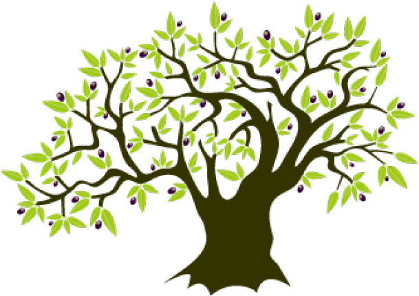 Olive Tree Clipart - Free Olive Tree Clip Art - Png Download (640x480), Png Download