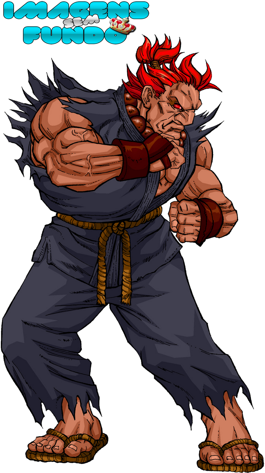Renders E Imagens Sem Fundo - Street Fighter Clipart (1015x1600), Png Download