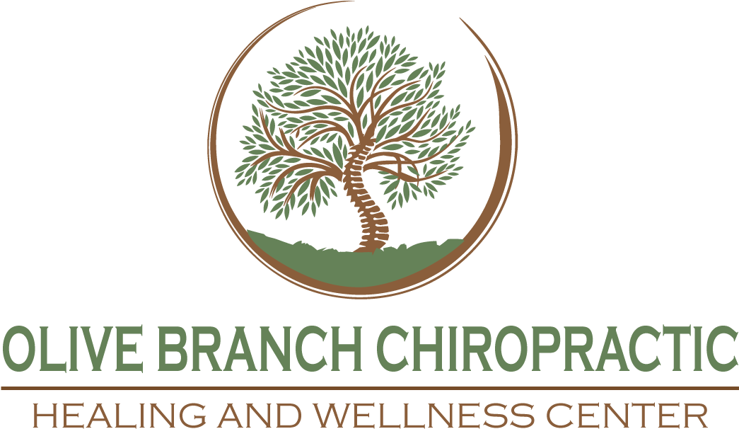 Olive Branch Chiropractic Logo - Pond Pine Clipart (1053x659), Png Download
