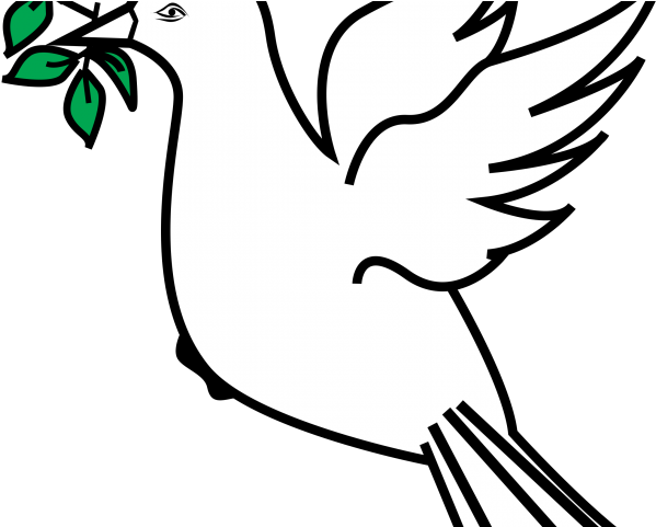 Dove With Olive Branch - Peace Symbol Olive Branch Clipart (640x480), Png Download