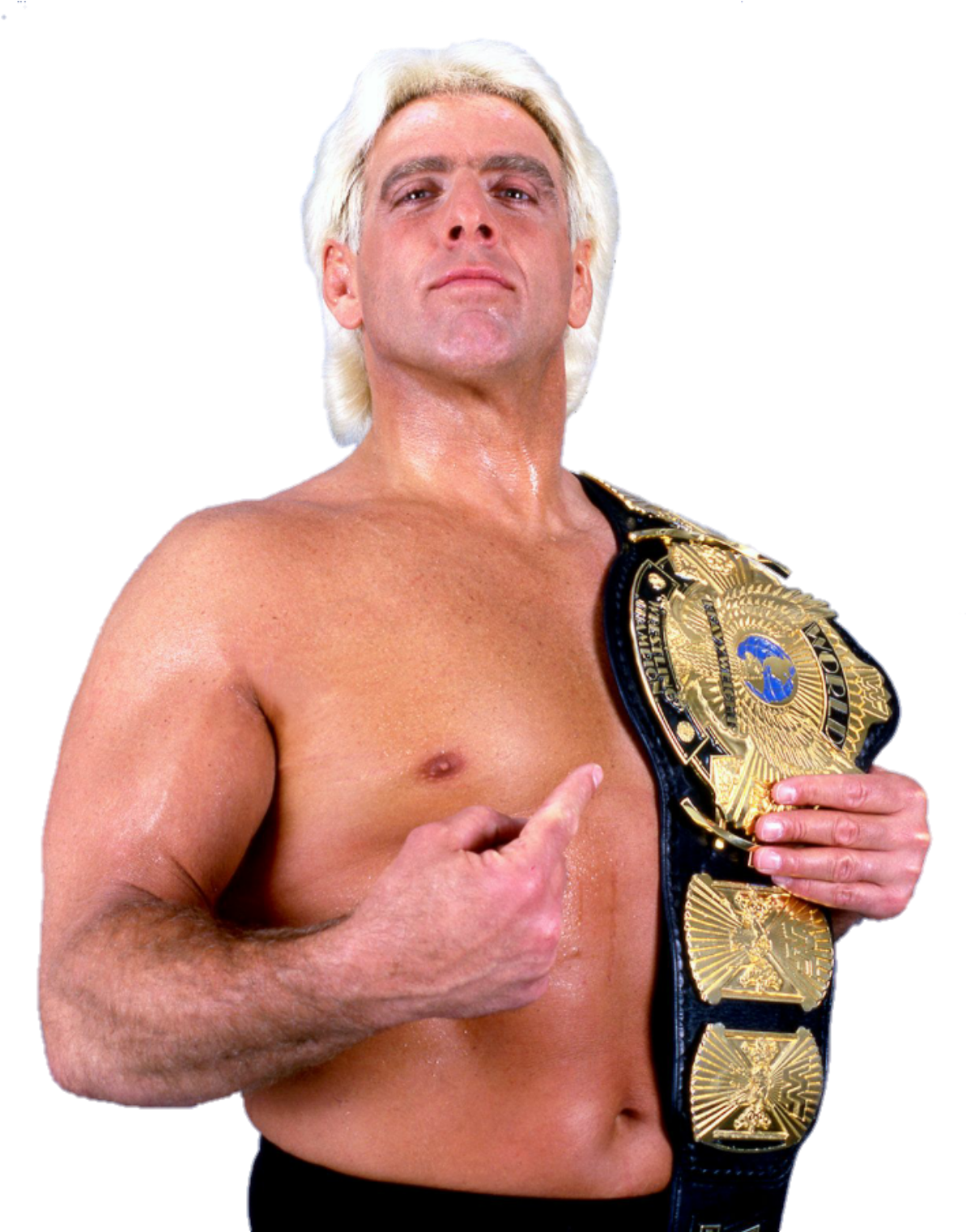 Image Id - - Ric Flair Wwe Champion Png Clipart (1200x1520), Png Download
