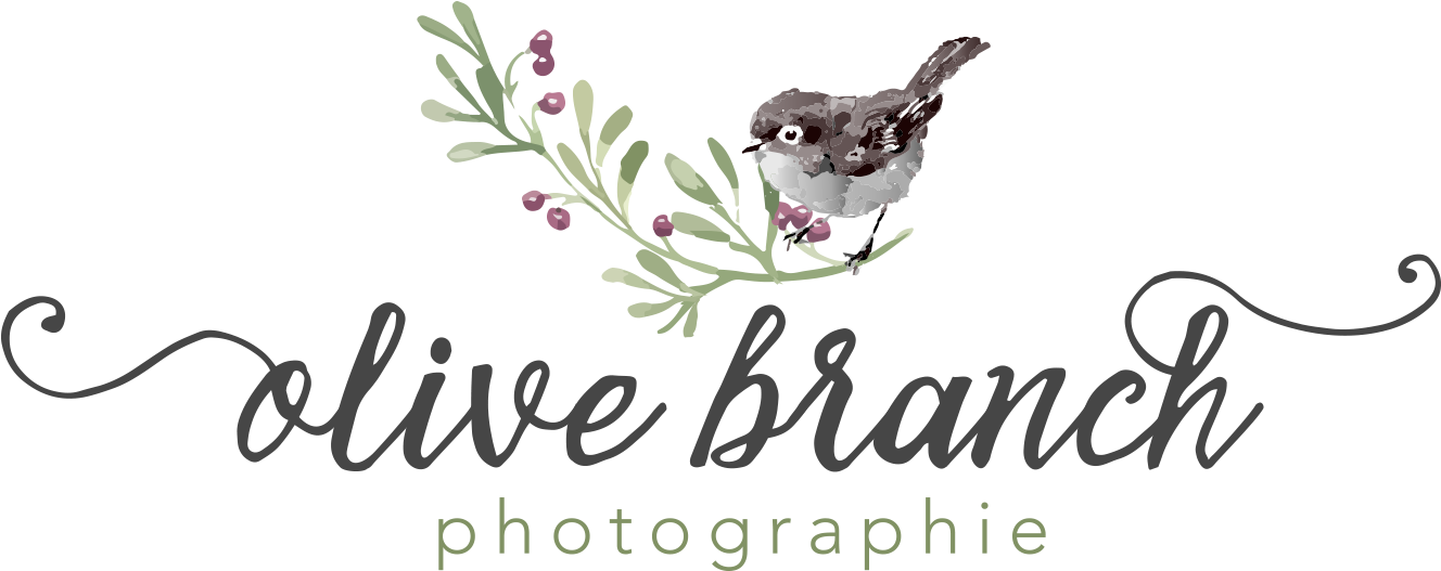 Graphic Design Clipart (1500x1000), Png Download