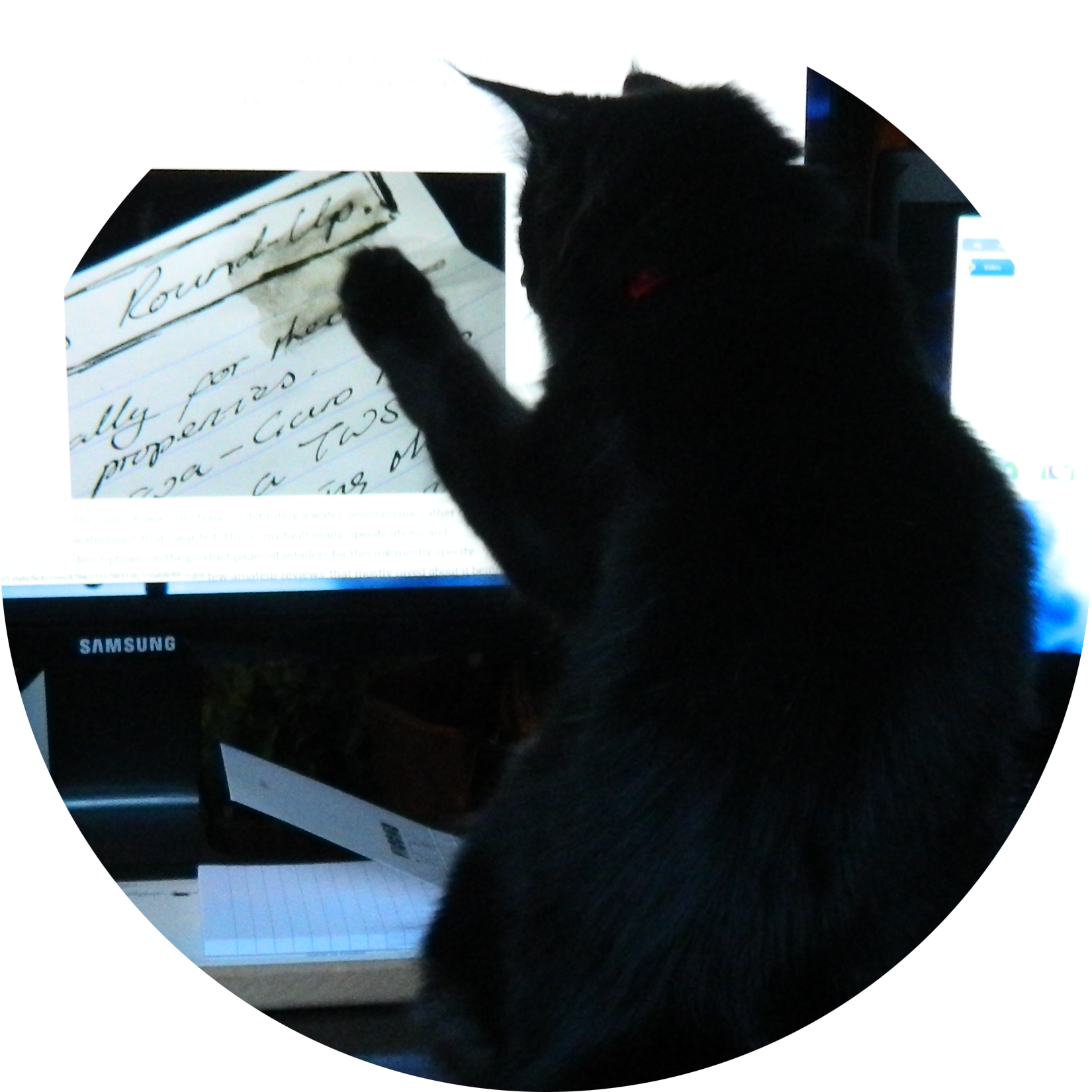 Their Water-resistant Claims - Black Cat Clipart (1650x1650), Png Download