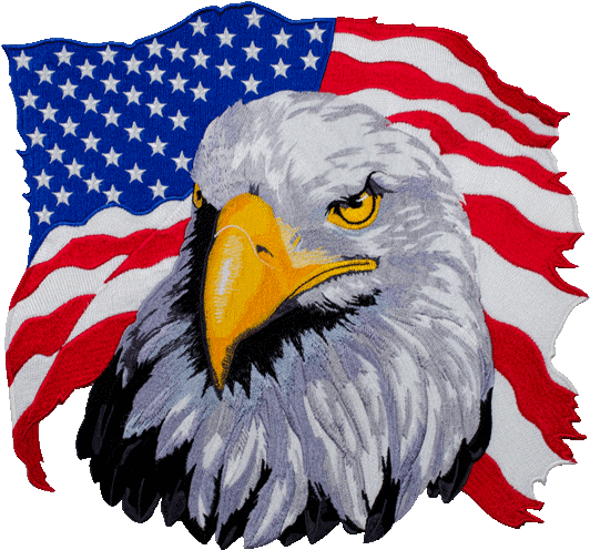Eagle Motorcycle Back Patch Patches Pennies - Usa Flag With Eagle Clipart (571x628), Png Download