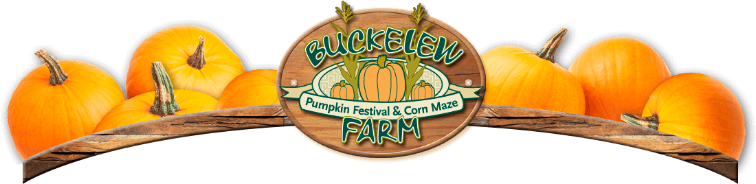 Menu - Pumpkin Clipart (1109x605), Png Download