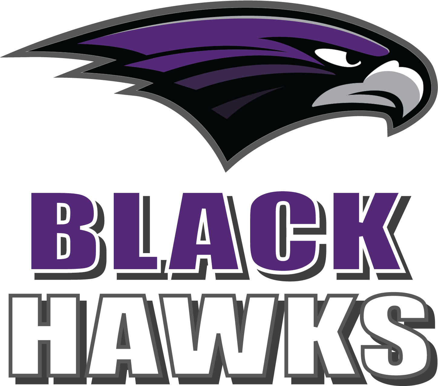 Bh Black Hawks - Bloomfield Hills High School Logo Clipart (1650x1650), Png Download