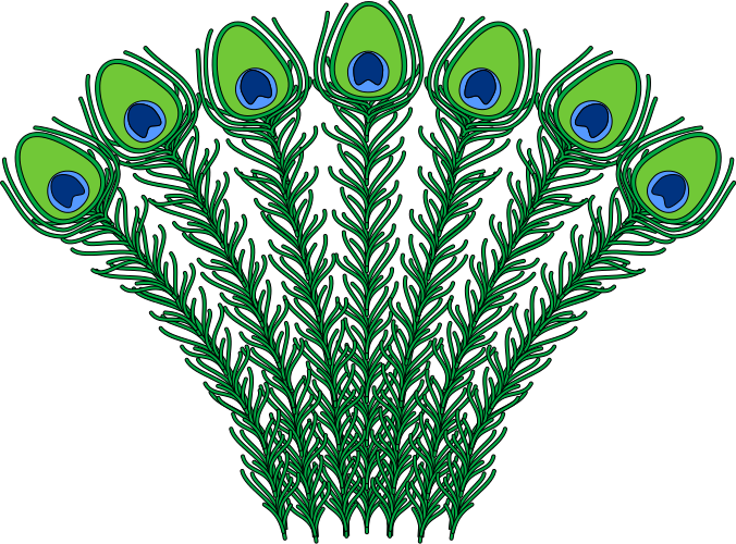 Heraldic Peacock Feathers - Peacock Feather Coat Of Arms Clipart (676x500), Png Download