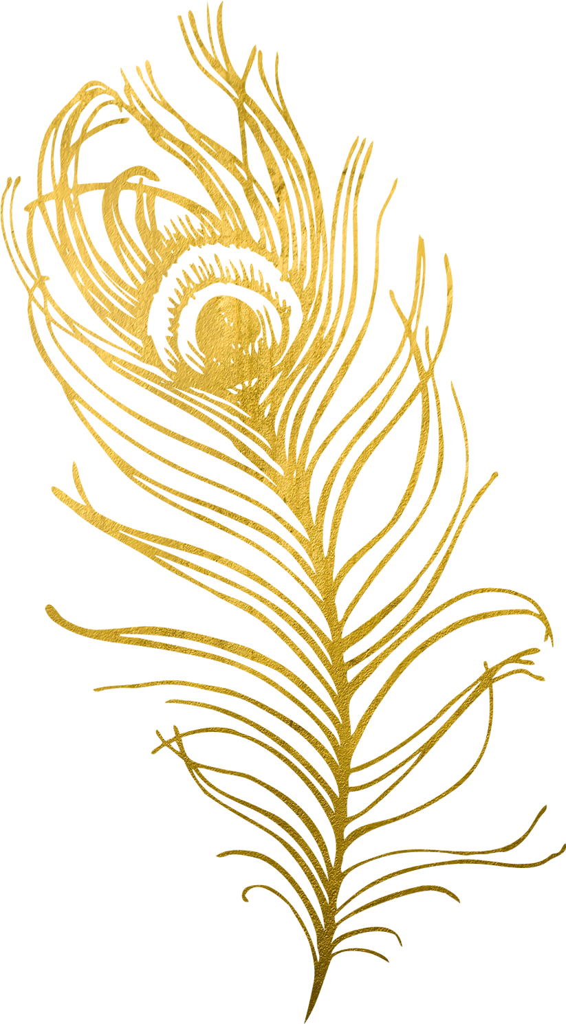 And Became My Life's Work - Golden Peacock Feather Png Clipart (838x1500), Png Download