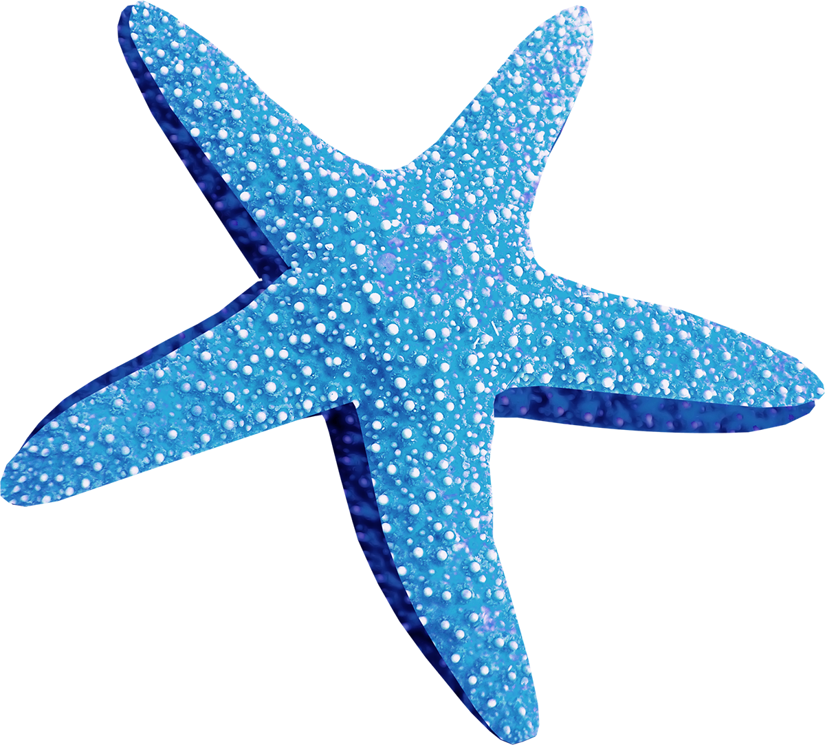 Blue Starfish Png Blue Starfish Png - Морская Звезда На Белом Фоне Clipart (1200x1083), Png Download